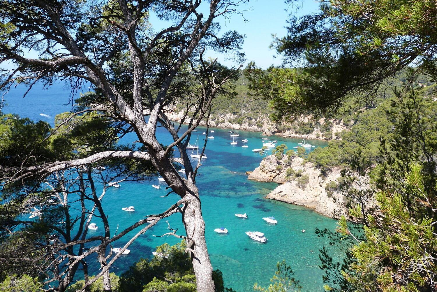 Appartement Coup De Coeur Centre Village Et Plage Climatise 3 Etoiles Terra Cigala Bandol Esterno foto